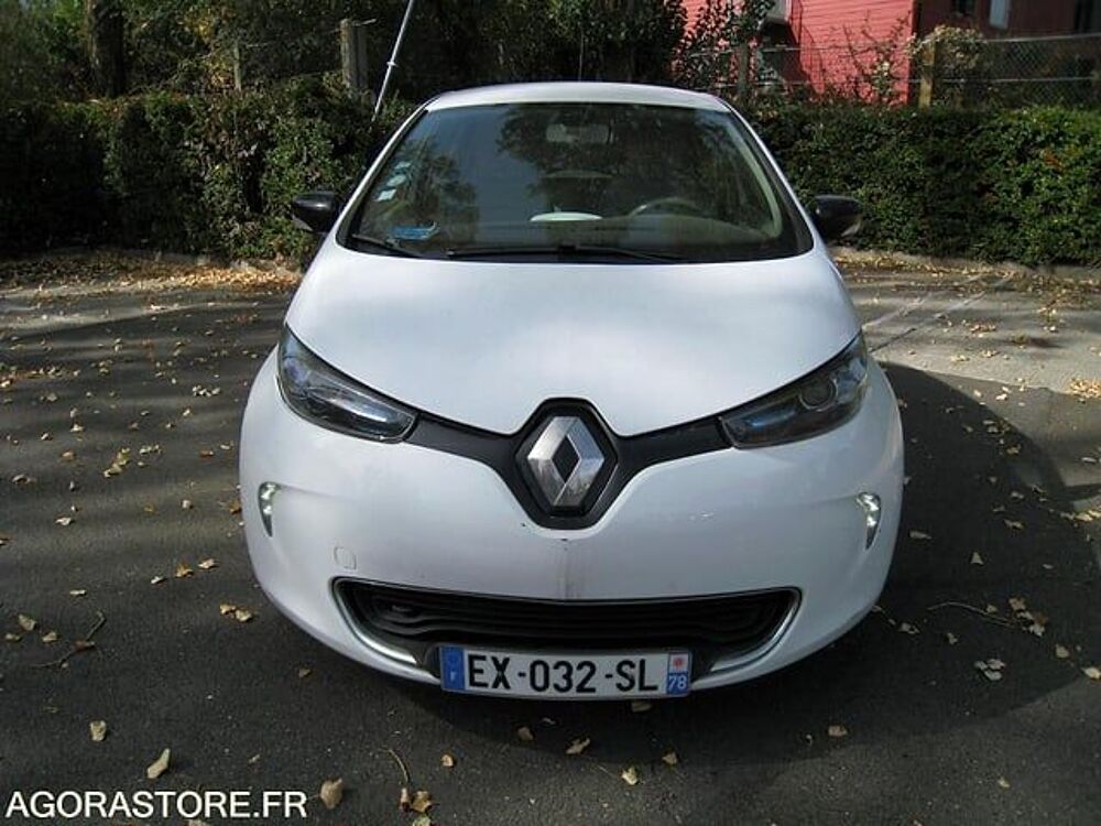 Zo&eacute; VF1AGVYF059895034 occasion 93100 Trappes
