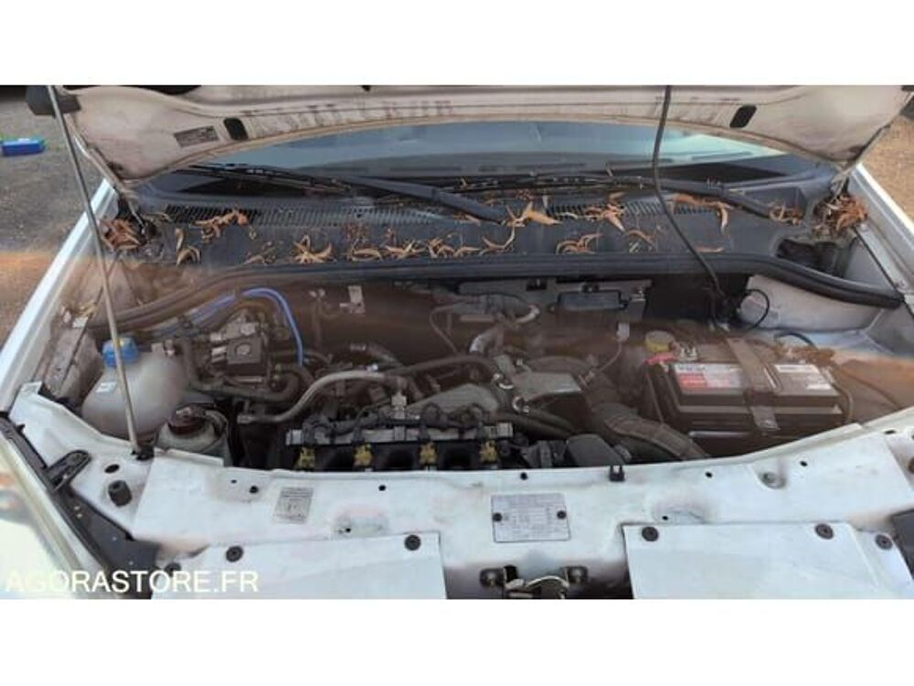 Doblo ZFA22300005697966 occasion 93100 Strasbourg