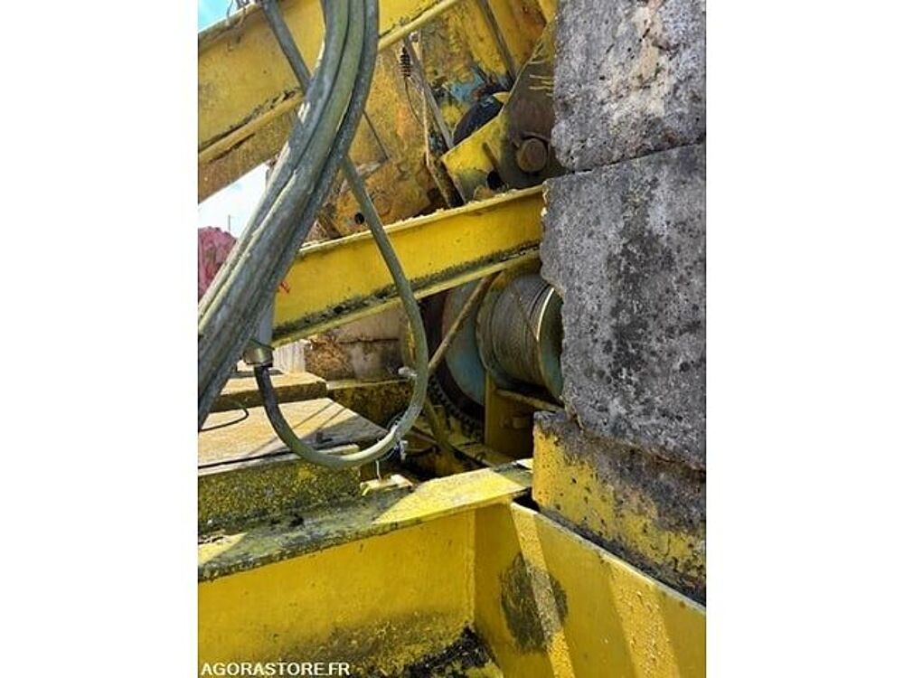 Grue  occasion 93100 Belmont-Tramonet
