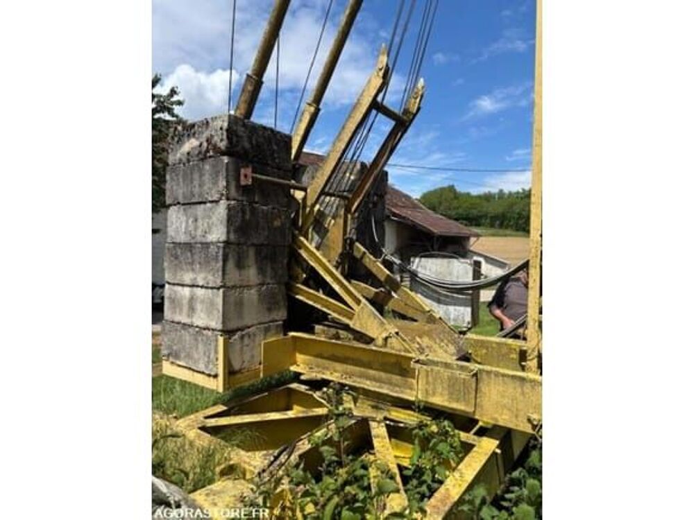 Grue  occasion 93100 Belmont-Tramonet