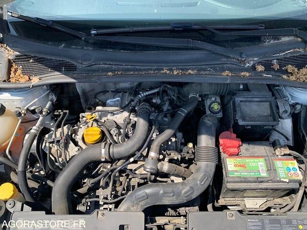 Clio VF15R5A0H51196201 occasion 93100 Agen