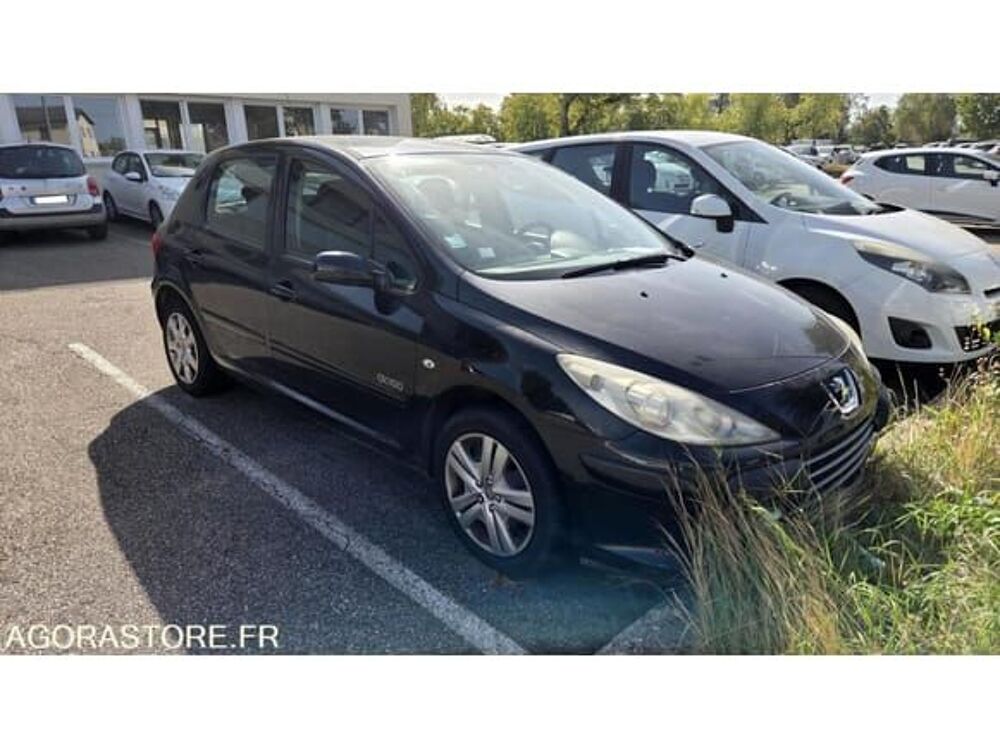 307 VF33C9HYC84668233 occasion 93100 Viriat