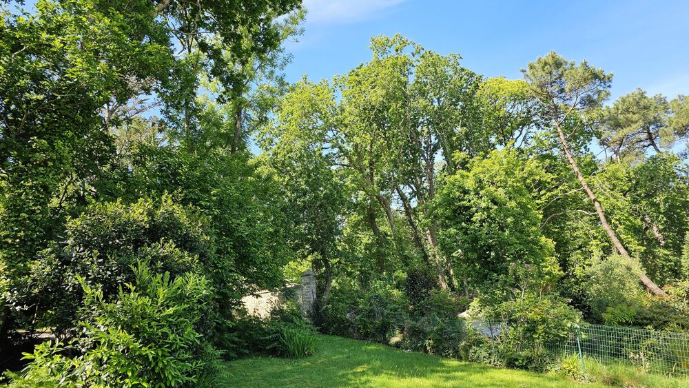 à vendre  Maison Douarnenez (29100)