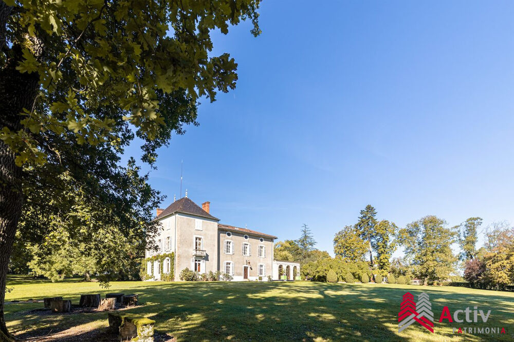 � vendre  Propri�t�/ch�teau Viriat (01440)