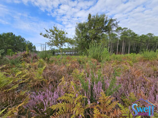  Terrain � vendre 1009 m�