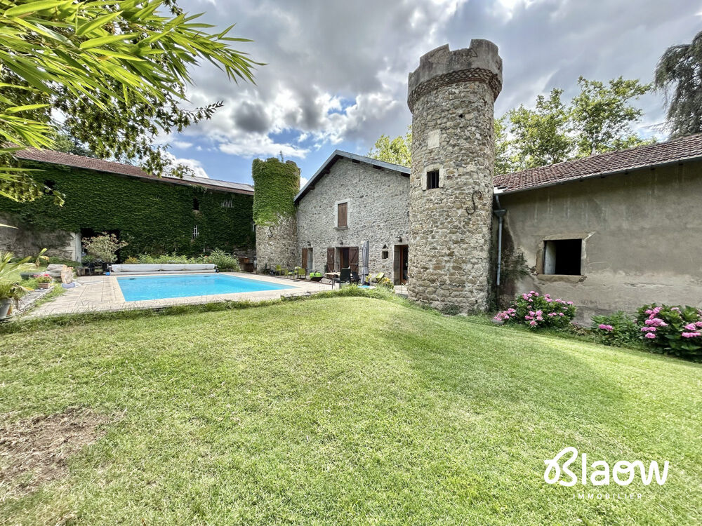 à vendre  Propriété/château Givors (69700)