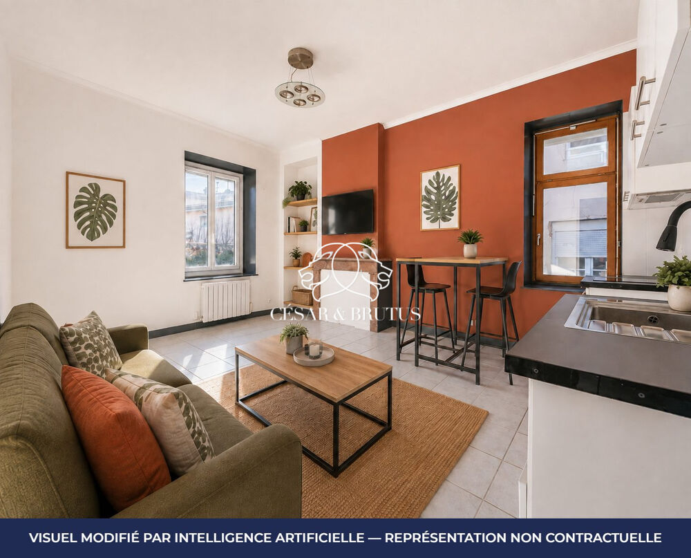 Vente Appartement Agréable T2 facile à vivire Neuville-sur-saône