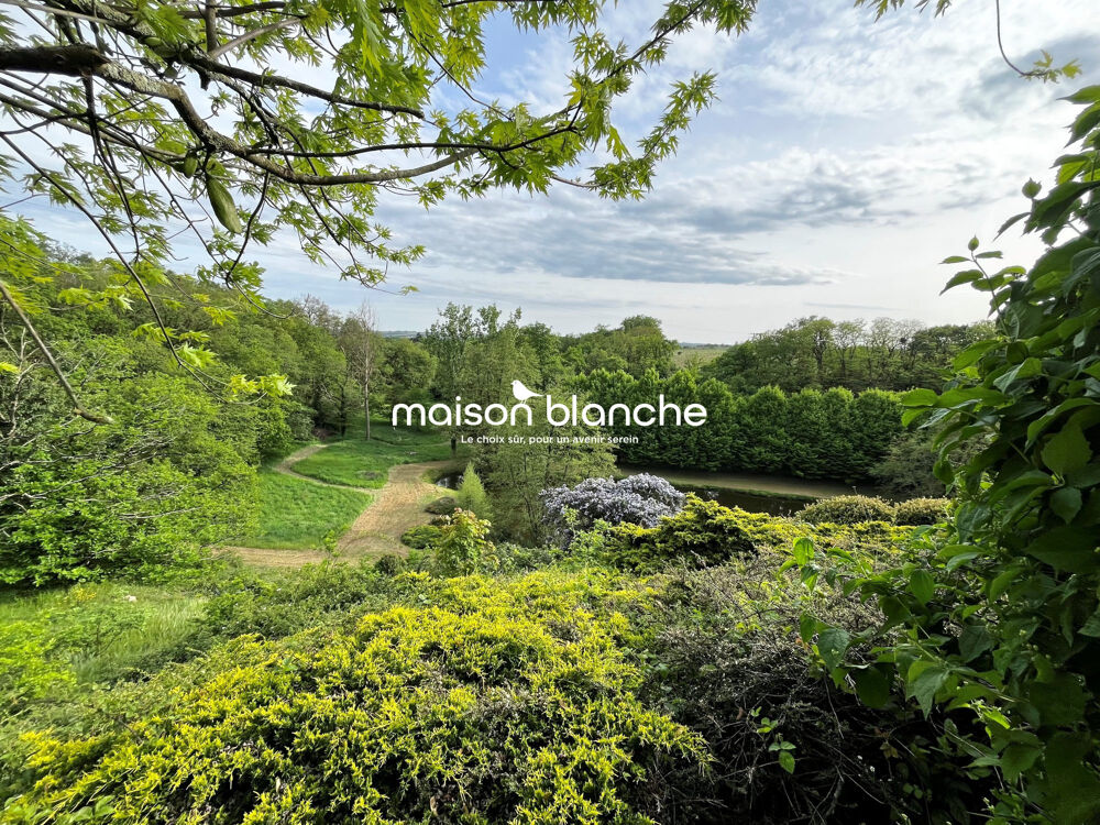 à vendre  Maison Savennières (49170)