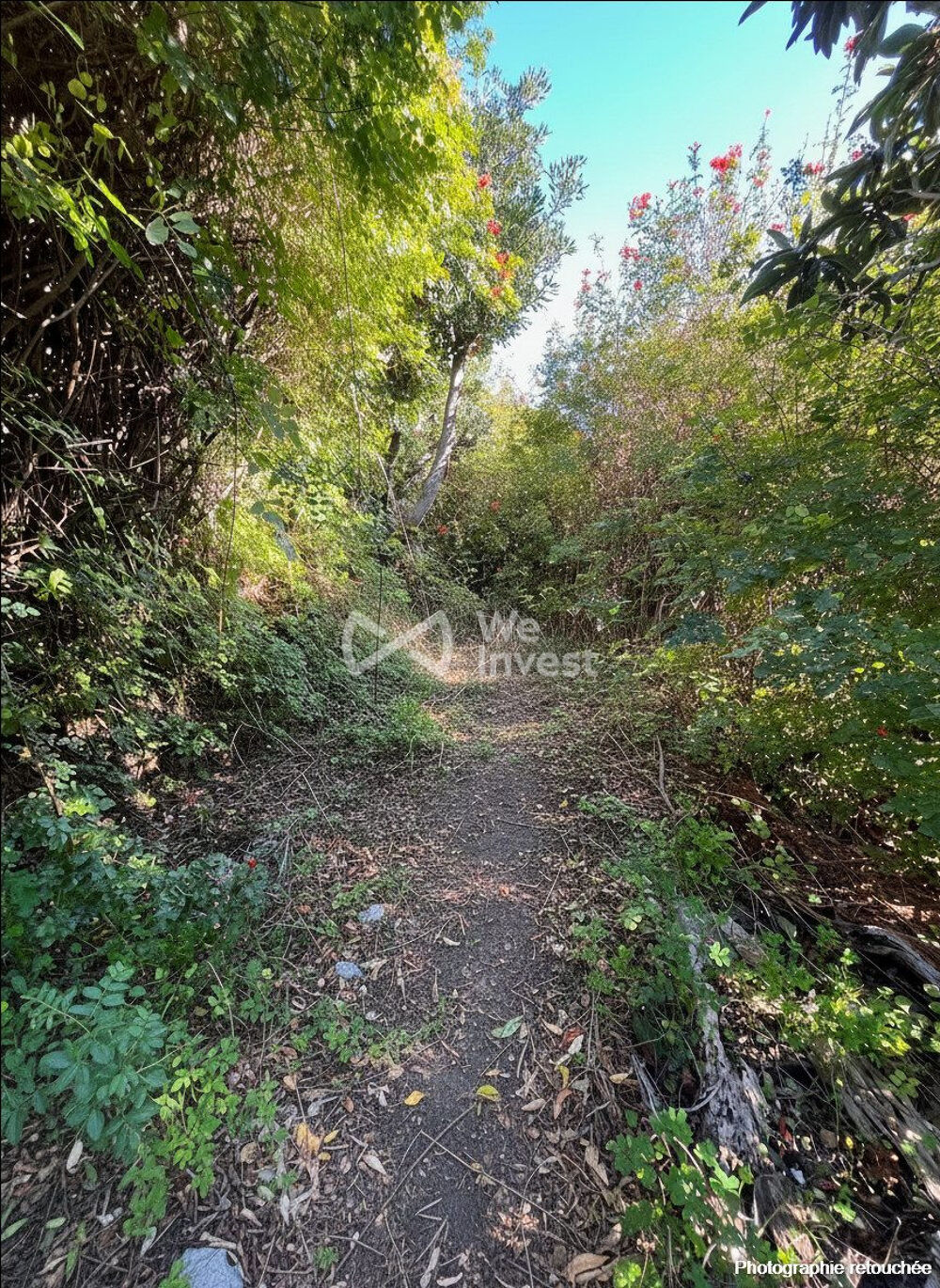 � vendre  Maison Ville-di-Pietrabugno (20200)