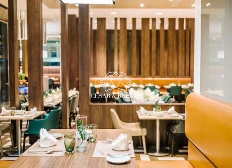 Fonds de commerce &agrave; c&eacute;der : Restaurant &agrave; Jean Mac&eacute; (69007) 110000 69007 Lyon