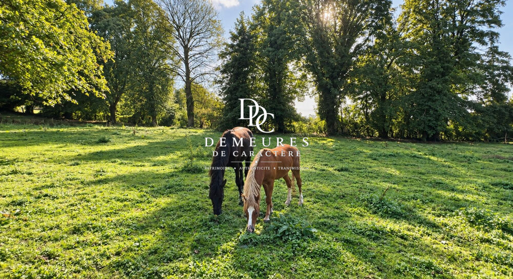 à vendre  Maison Doudeauville (62830)