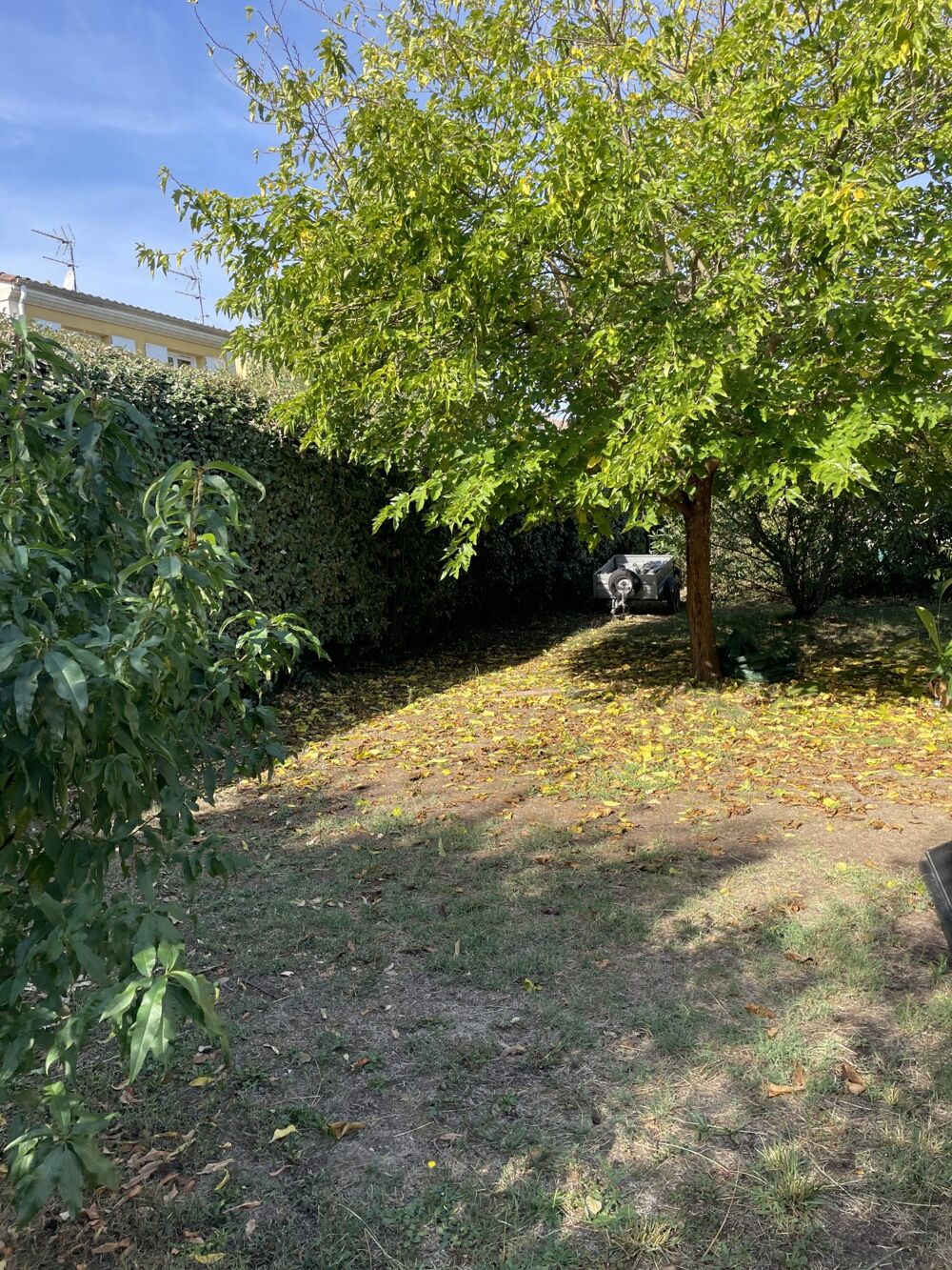 Location Maison maison individuelle avec jardin et garage Bruges