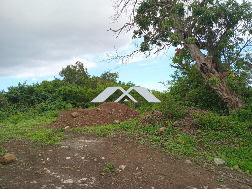 Vente Terrain Parcelle 400 m² Bellemène -Vue mer/montagne St Paul Saint-paul