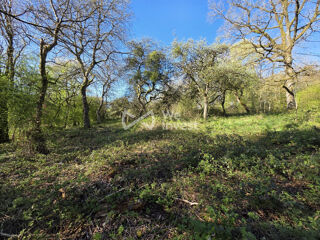 Terrain � vendre 810 m�