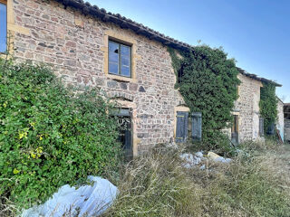 Maison 750m2 Saint-Jean-Saint-Maurice-sur-Loire