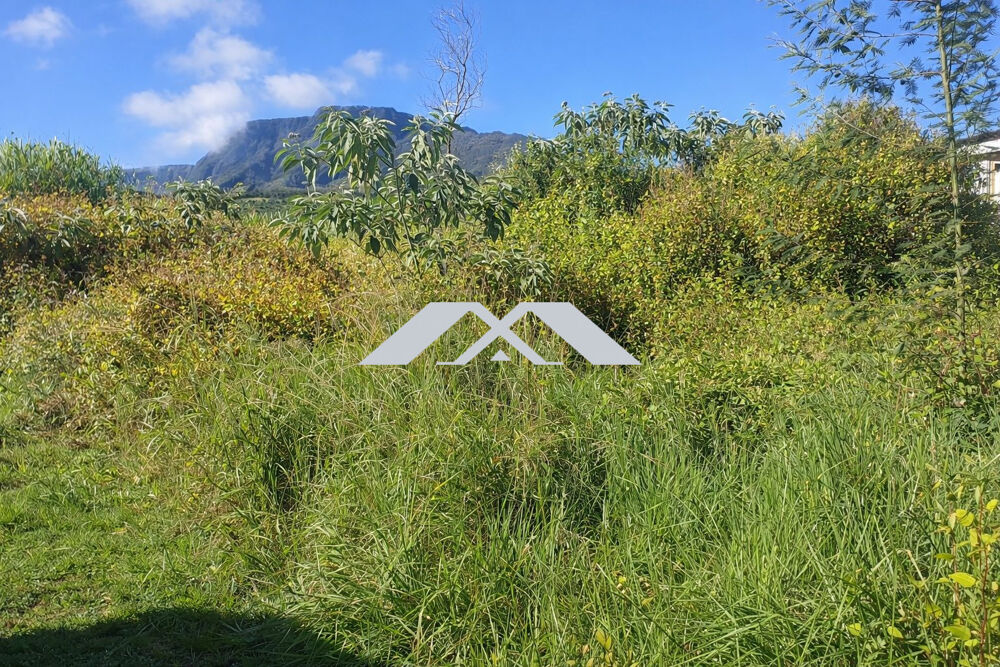 Vente Terrain Terrain 492 m² - 400 m² constructible Grand Coude Saint-joseph