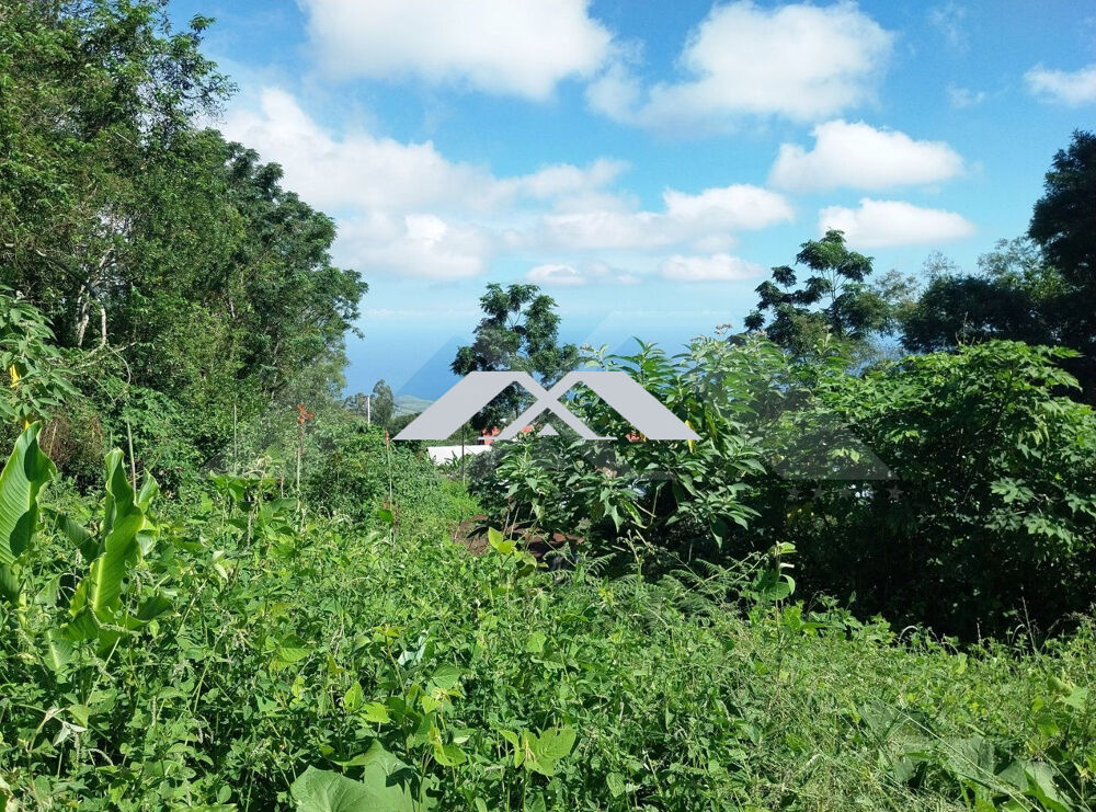 Terrain 8860 m² au Guillaume
