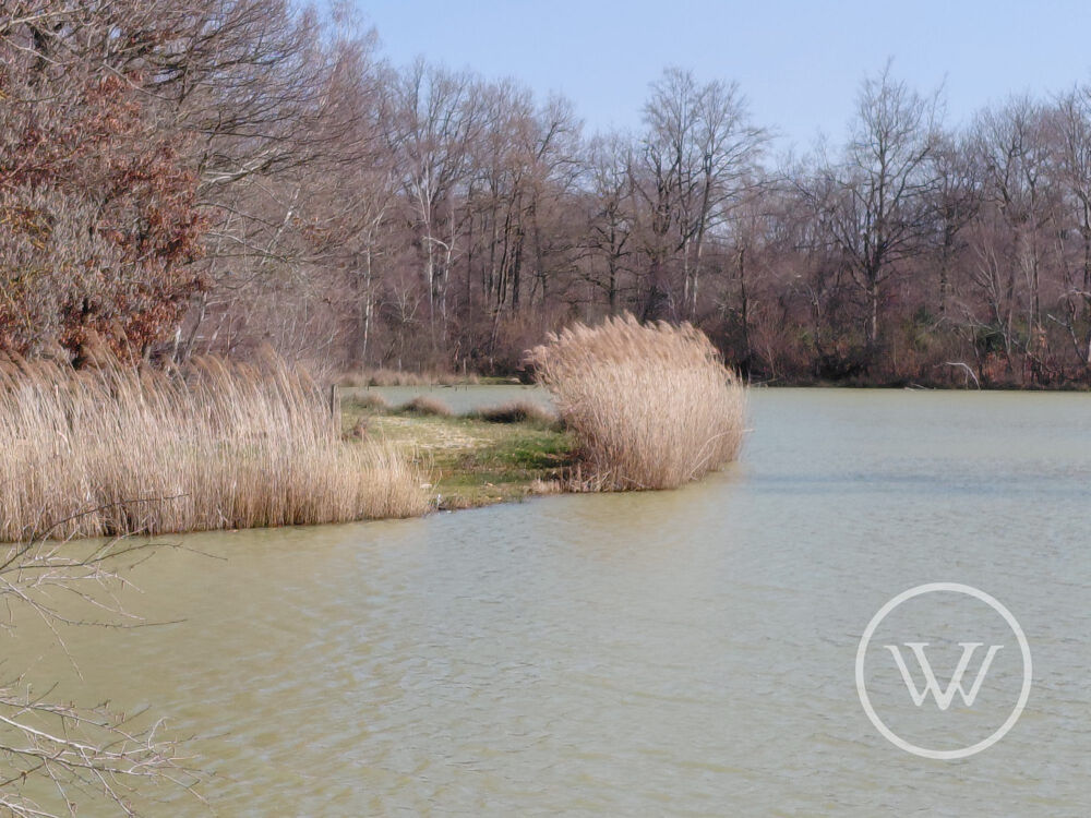 Vente Terrain VENTE ETANG DE 2 HECTARES Bossieu