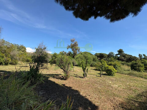   Terrain constructible 1 226 m² – Libre constructeur 