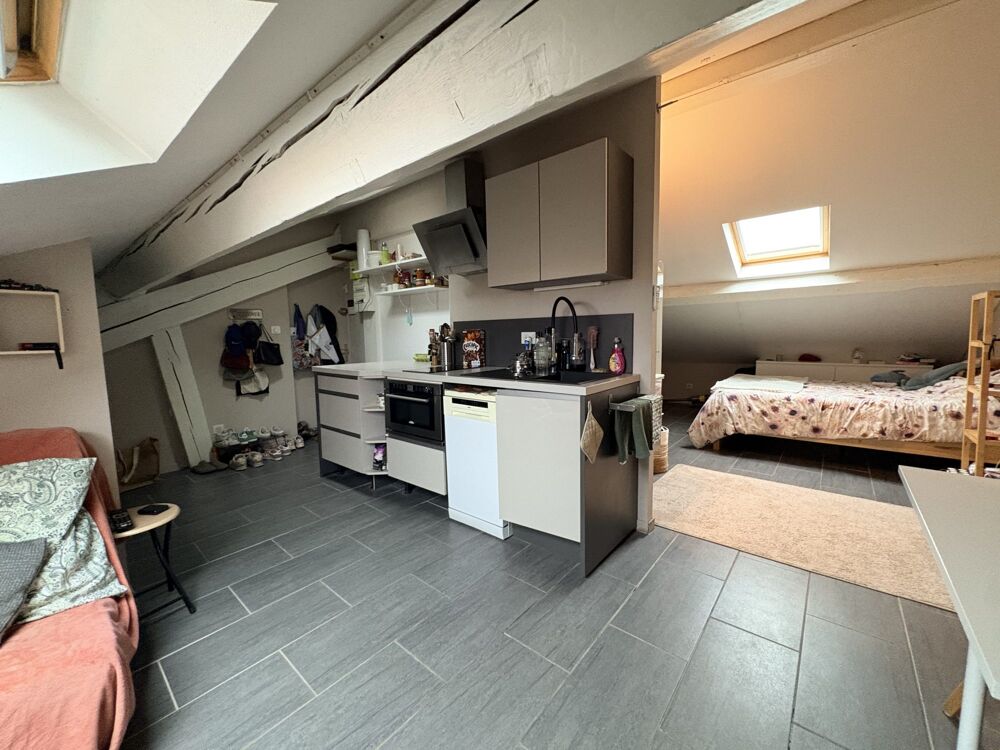 Vente Appartement COQUET STUDIO DERNIER ETAGE Lyon 7