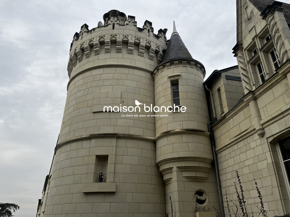 à vendre  Propriété/château Saumur (49400)