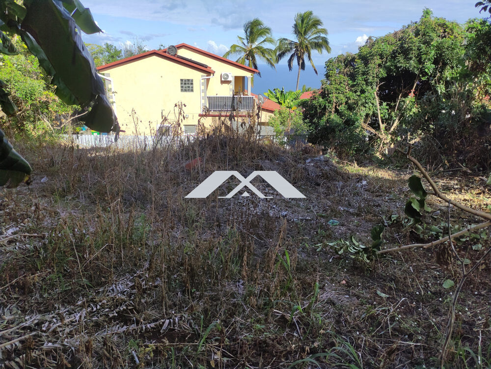 Vente Terrain PARCELLE 395 M² VUE MER A PITON ST LEU Saint-leu