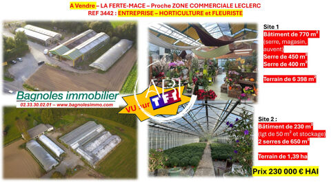 Ensemble commercial sur emplacement fortement visible ! 230000 61600 La fert mac