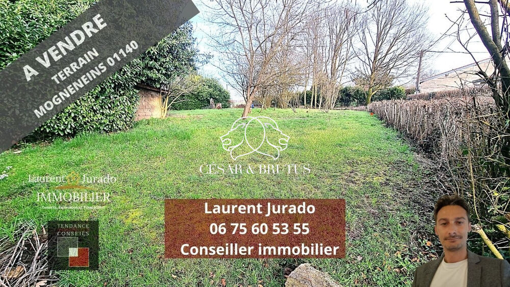 Vente Terrain Terrain constructible 670 m2 Mogneneins 01140 Mogneneins