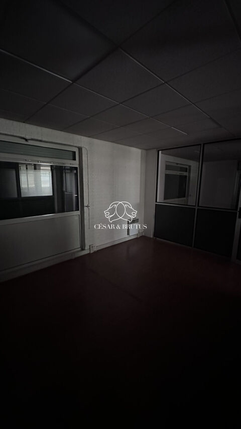   Immobilier Professionnel à louer Lyon 