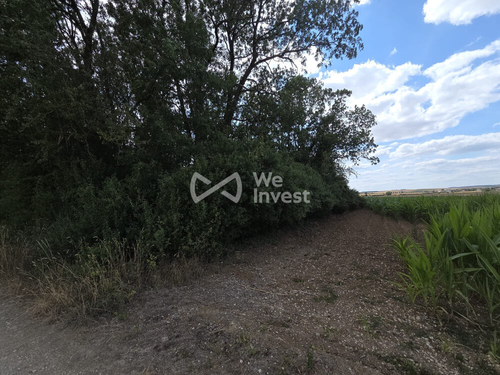 Vente Terrain bois Charny-sur-meuse