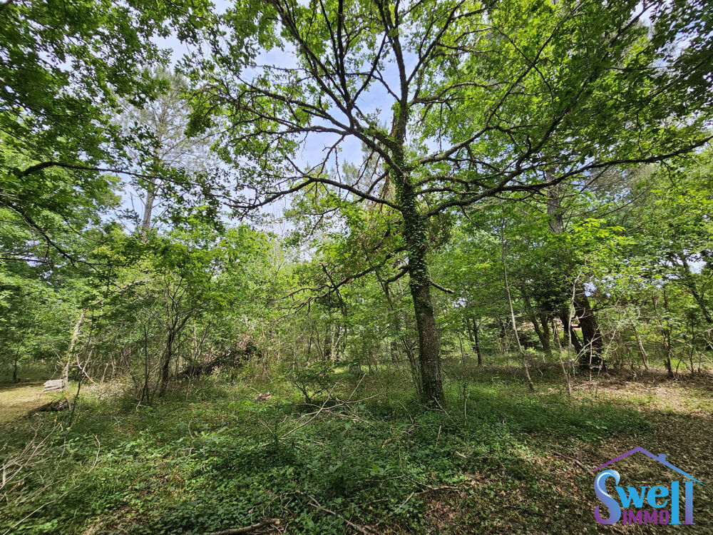   Terrain à bâtir de 1600m² 
