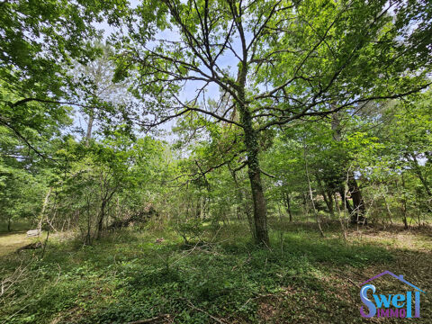 Terrain &agrave; b&acirc;tir de 1600m&sup2; 169000 40170 Mézos