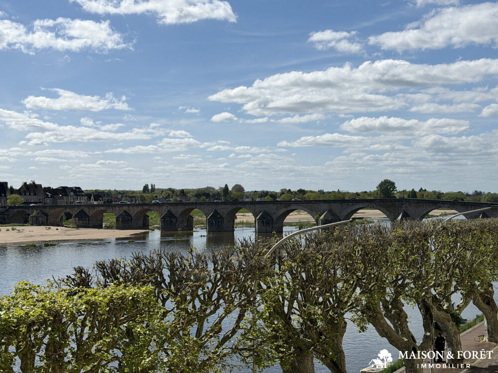 MAISON BOURGEOISE VUE LOIRE