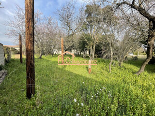  Terrain � vendre 955 m� Pom�rols