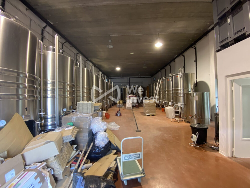 � vendre  Maison Laurens (34480)