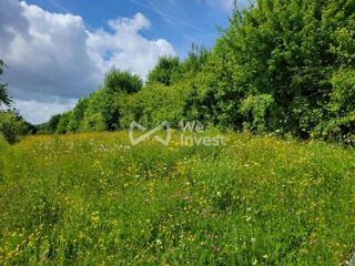  Terrain à vendre 3930 m²