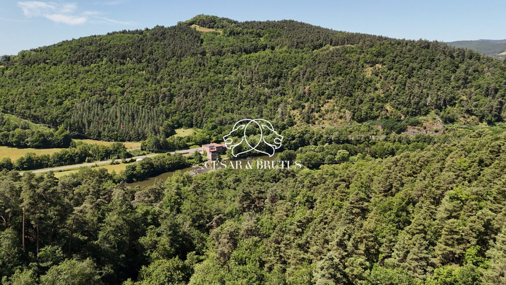 Vente à terme - Ancien Moulin et Gîte