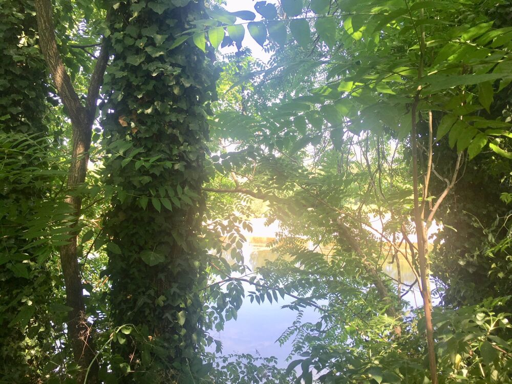 à vendre  Maison Bergerac (24100)