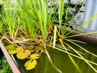  Maison � vendre 7 pi�ces 183 m�