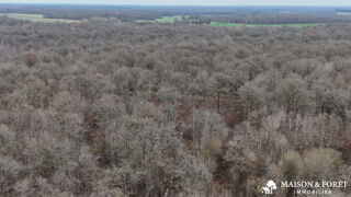  Terrain � vendre 380335 m�