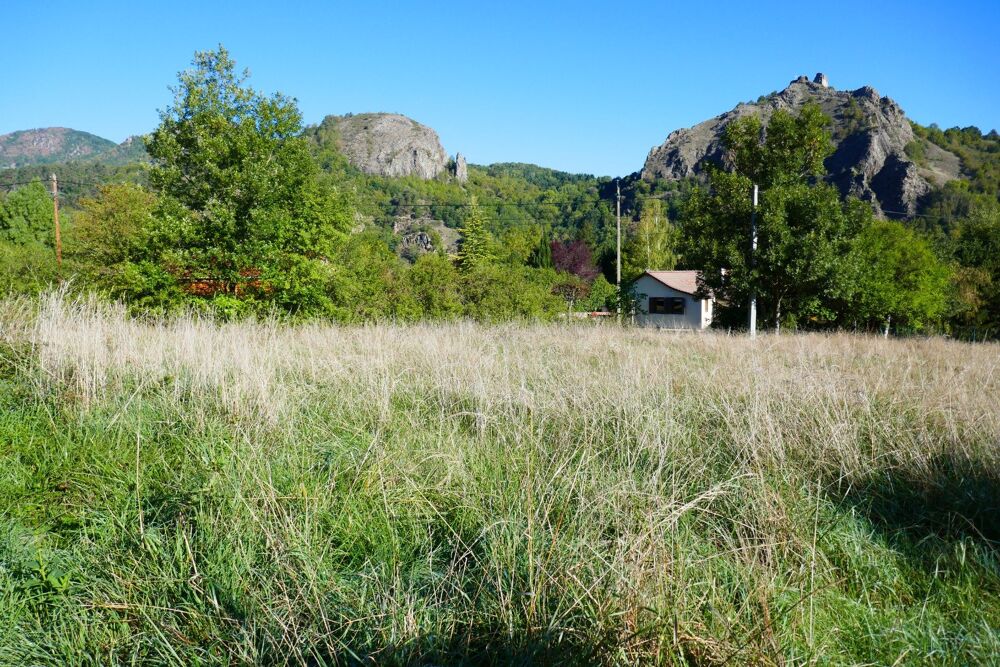 Vente Terrain Parcelle constructible 1000m² - viabilisée Chamalières-sur-loire