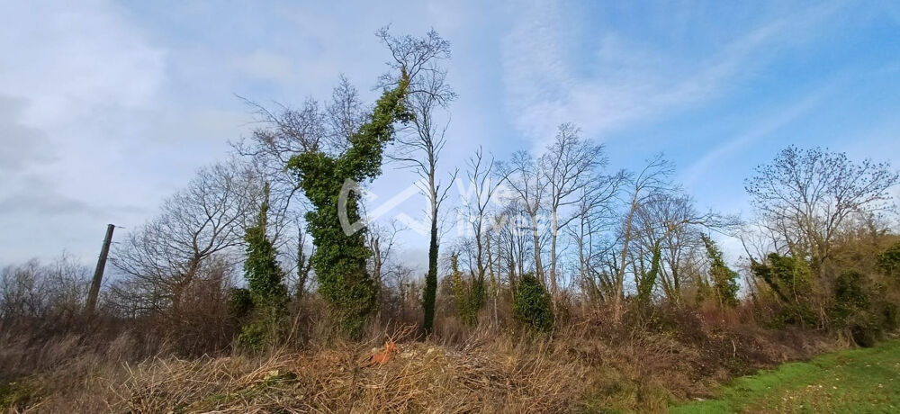   GERMIGNY L'EVEQUE : A VENDRE 4 parcelles Naturelles et Boisées, 