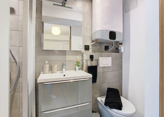  Appartement à louer 1 pièce 17 m²
