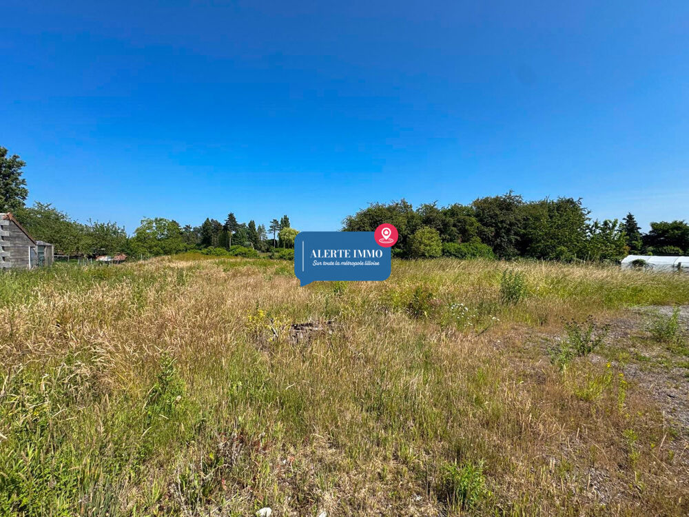 � vendre  Maison La Neuville (59239)