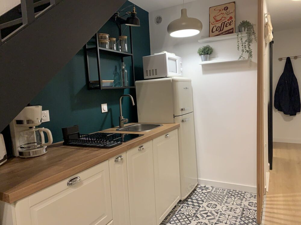 Location Appartement Saint Cyprien, APT T2 mezzanine meublé Toulouse