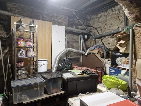   Vente Murs et Fonds de Commerce à LIMOGES ! 