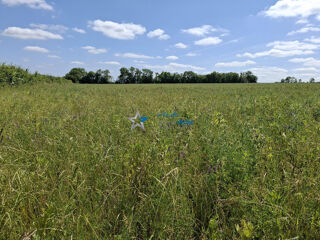  Terrain � vendre 120000 m�