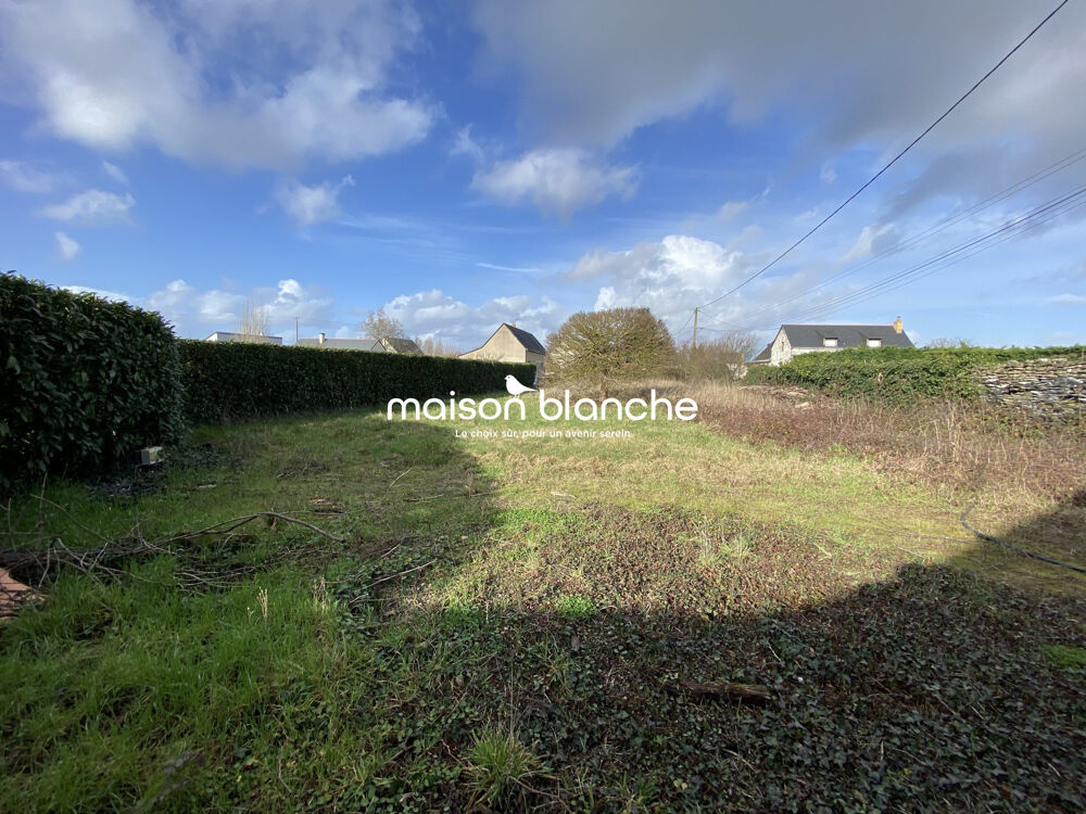 Vente Maison Longère Mazé-Milon - 116 m² Mazé-milon