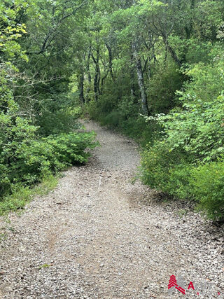  Terrain � vendre 2813 m�