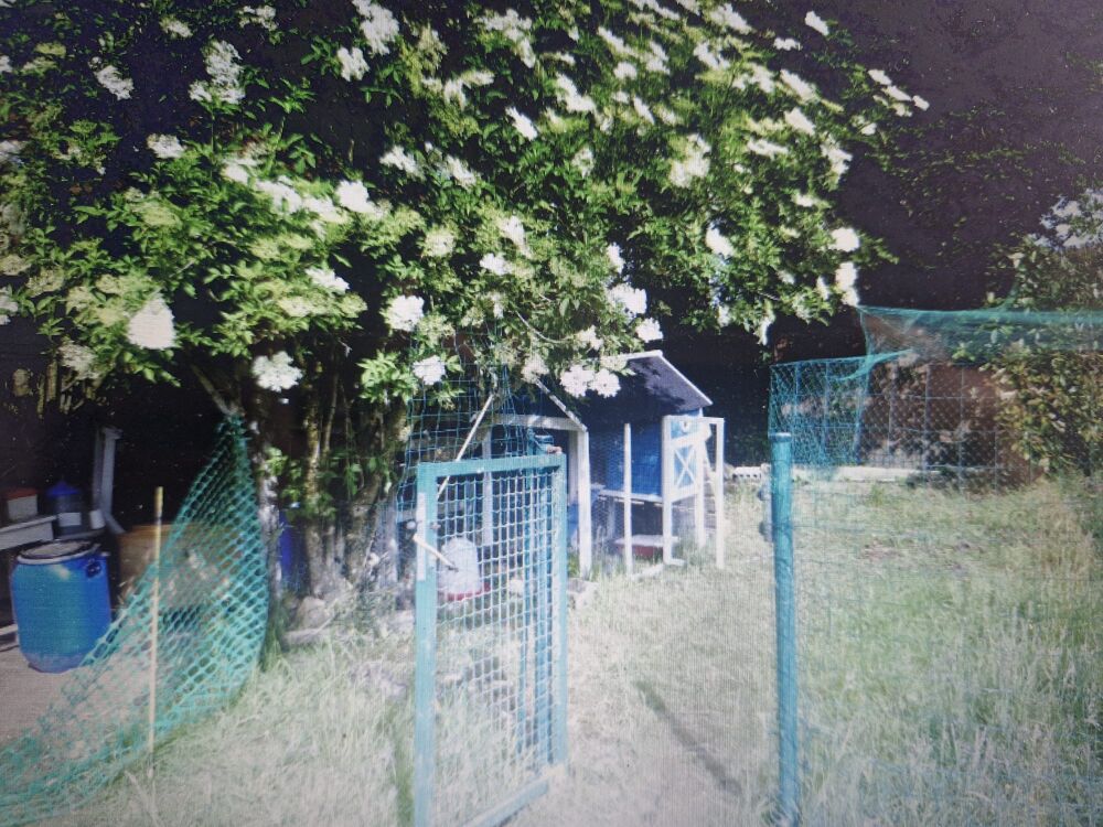 Vente Maison MAISON DE CAMPAGNE Valdallière